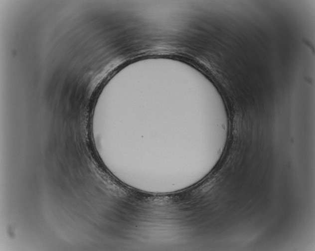 X0000099411410200806060920