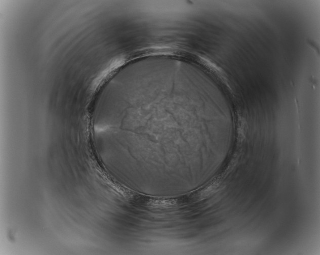 X0000099411411200806060920