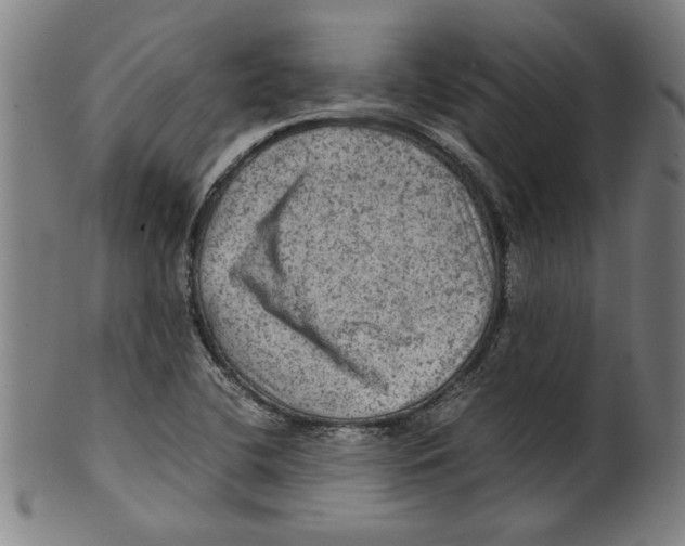 X0000099411412200806060920