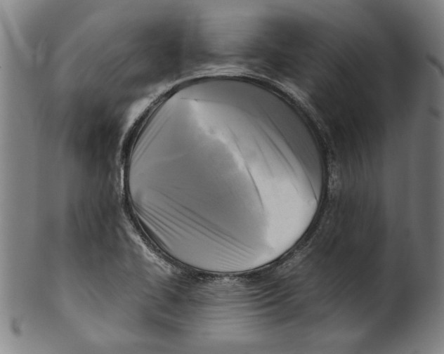 X0000099411414200806060920