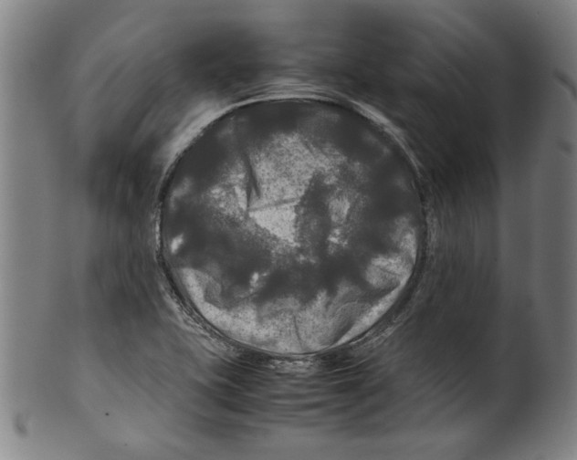 X0000099411415200806060920