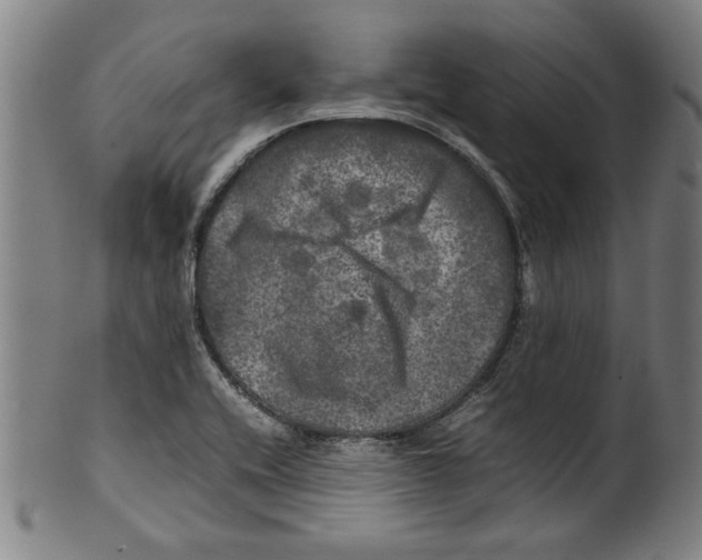 X0000099411416200806060920