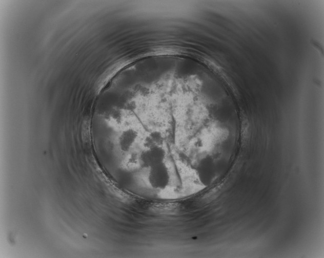 X0000099411417200806060920