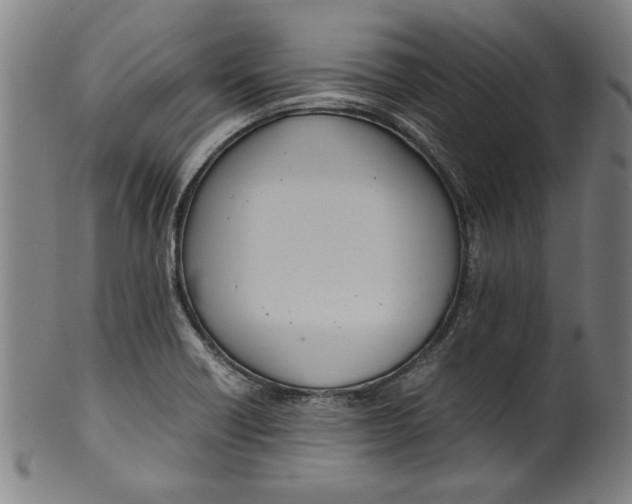 X0000099411418200806060920