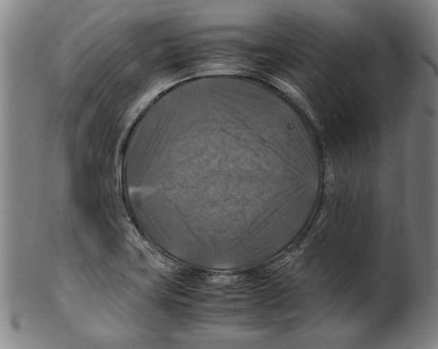 X0000099411419200806060920