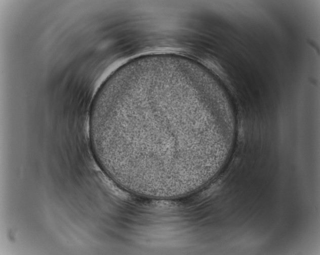 X0000099411420200806060920