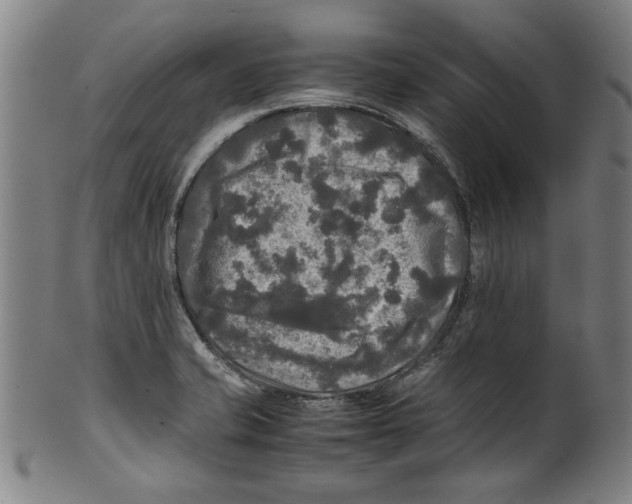 X0000099411421200806060920