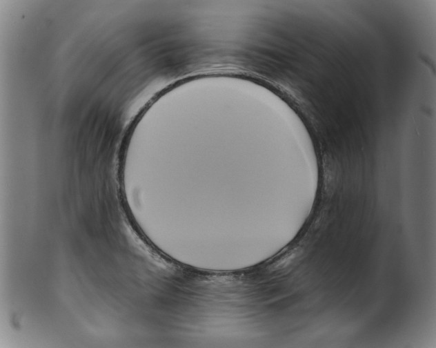 X0000099411422200806060920