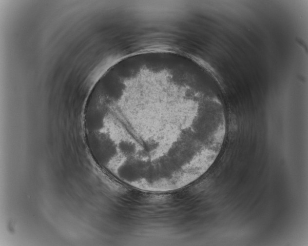 X0000099411423200806060920