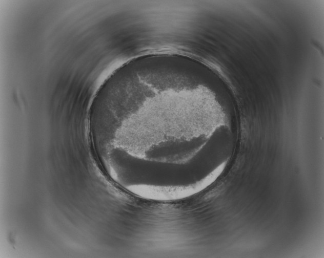 X0000099411424200806060920