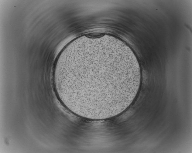 X0000099411426200806060921