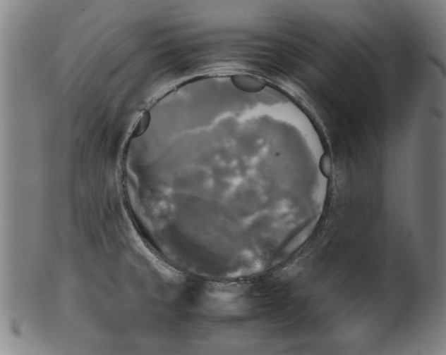 X0000099411429200806060921