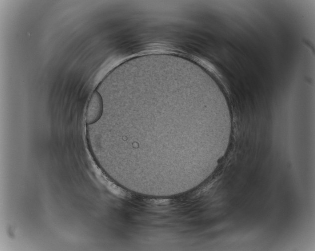 X0000099411431200806060921