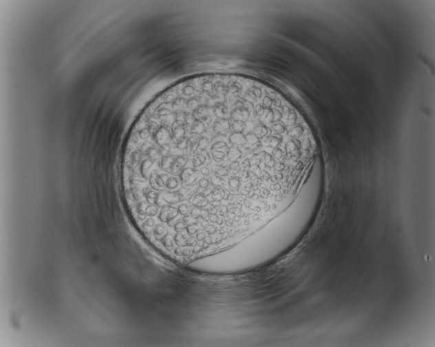 X0000099411432200806060921