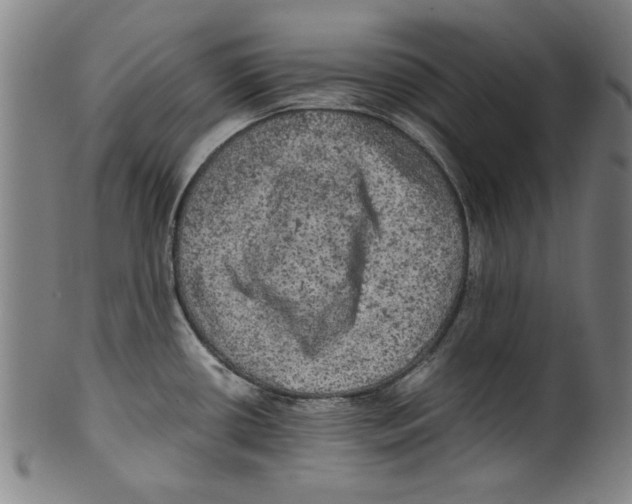 X0000099411434200806060921