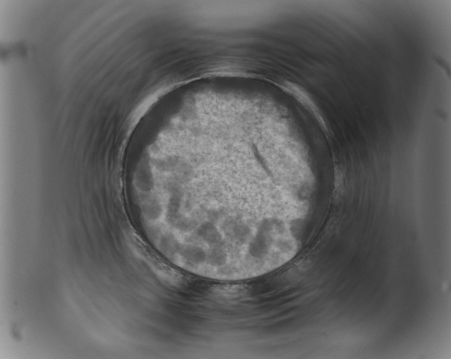 X0000099411435200806060921