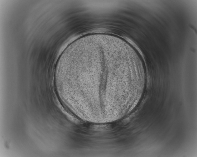 X0000099411437200806060921