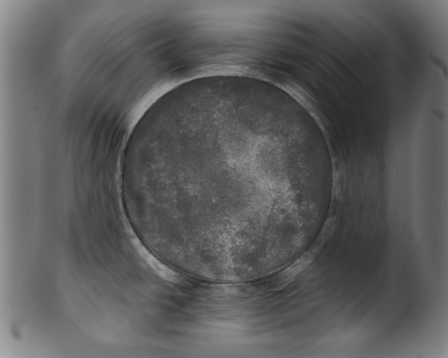 X0000099411438200806060921