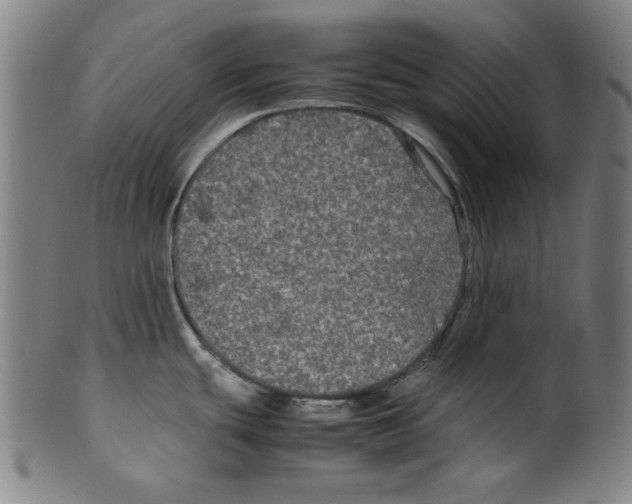 X0000099411439200806060921