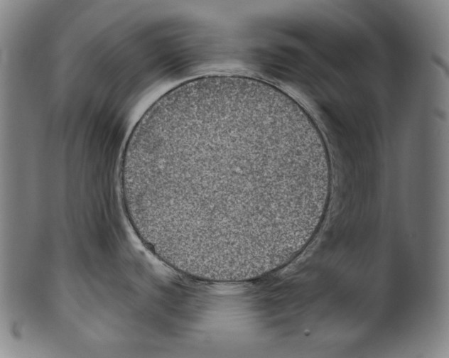 X0000099411440200806060921