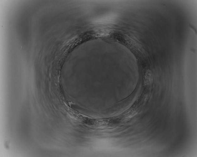 X0000099411441200806060920