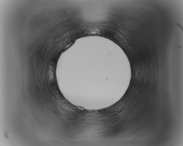 X0000099411442200806060920