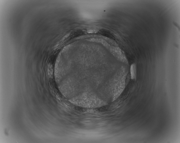 X0000099411443200806060920