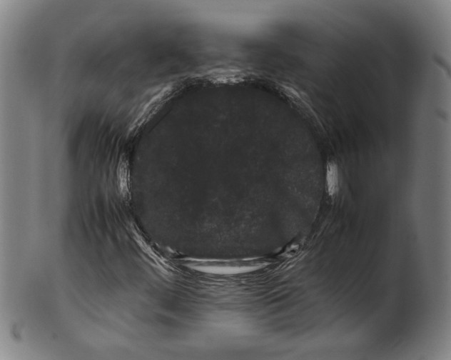 X0000099411444200806060920