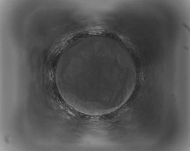 X0000099411445200806060920