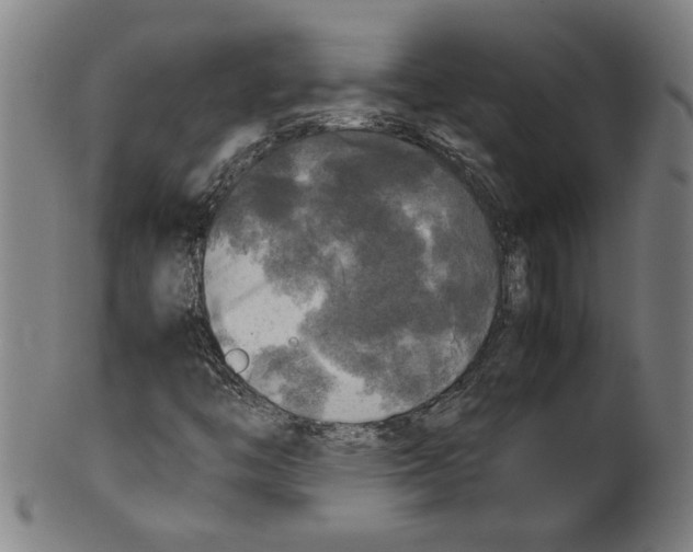 X0000099411446200806060920