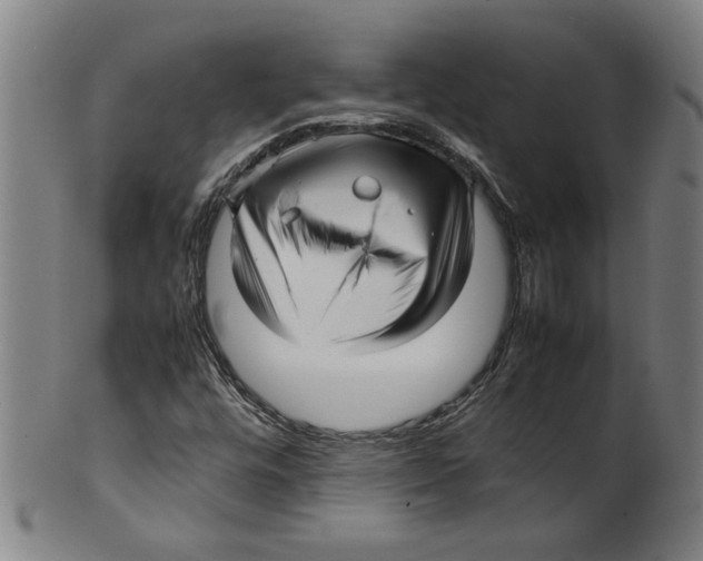 X0000099411448200806060920