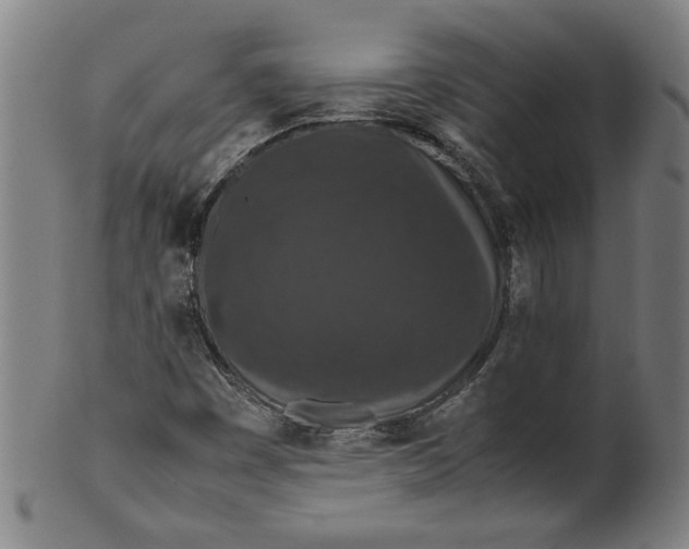 X0000099411449200806060920