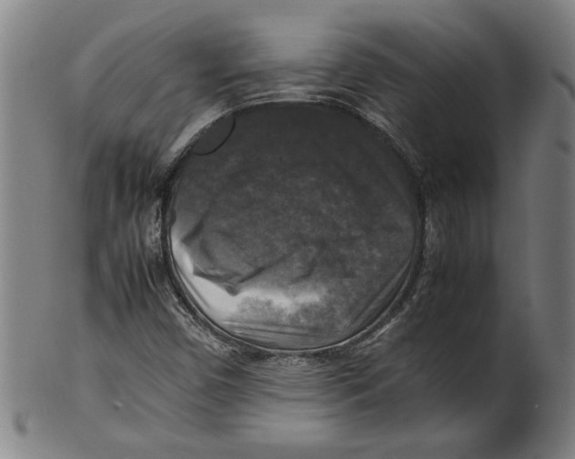 X0000099411450200806060920