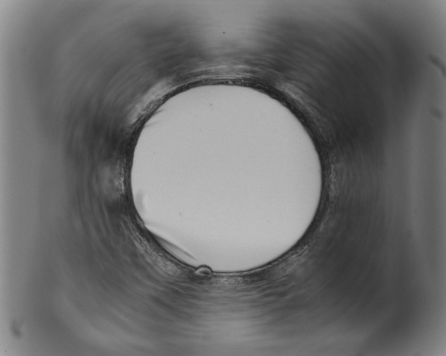 X0000099411451200806060920