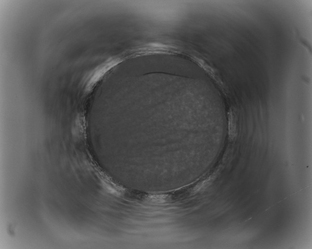 X0000099411453200806060920