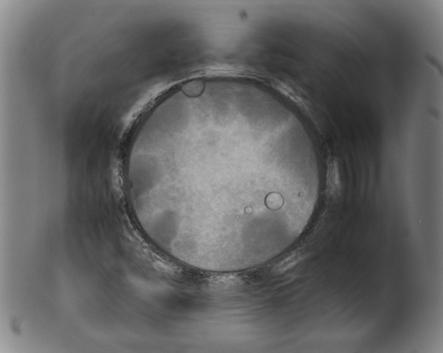 X0000099411454200806060920