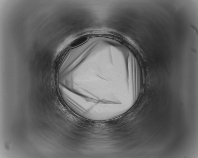 X0000099411456200806060920