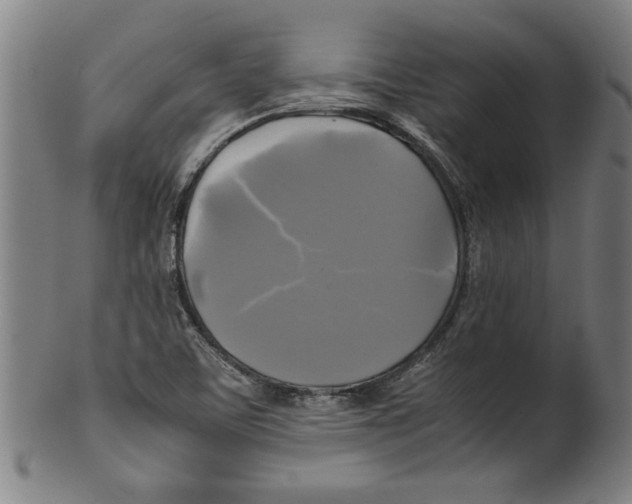 X0000099411459200806060920