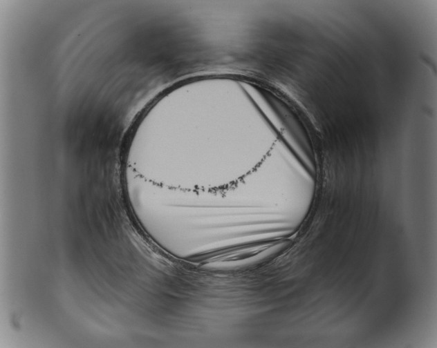 X0000099411460200806060920