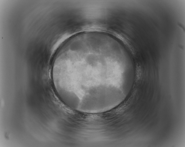 X0000099411462200806060920