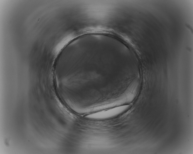 X0000099411463200806060920