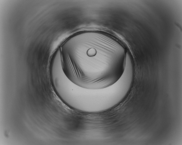 X0000099411464200806060920