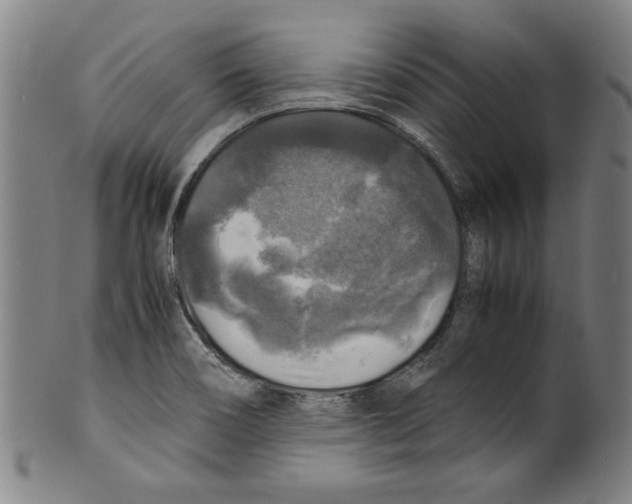 X0000099411466200806060920