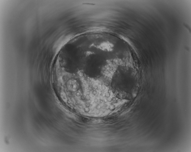 X0000099411467200806060920