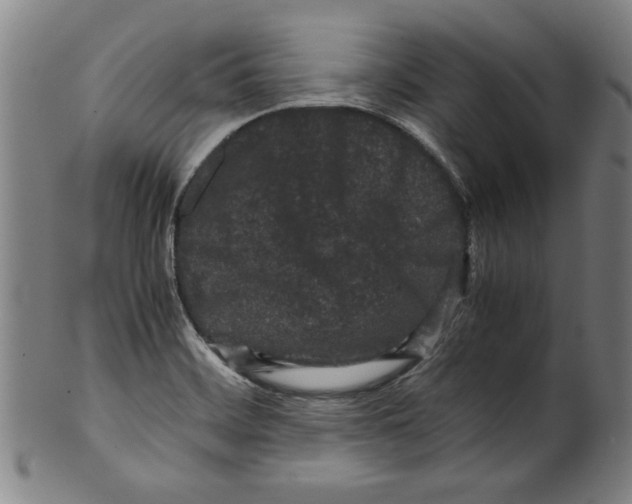 X0000099411468200806060920