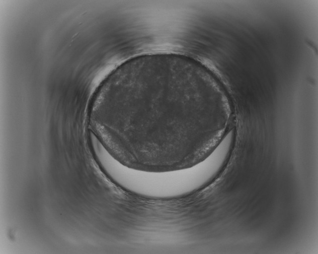 X0000099411469200806060920