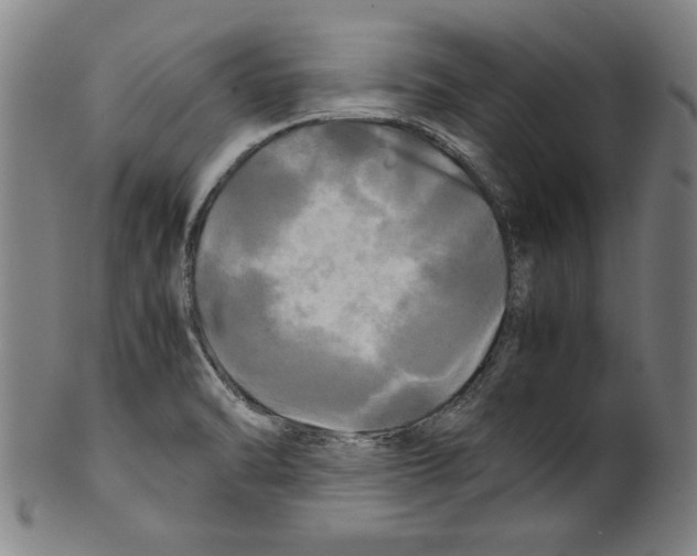 X0000099411470200806060920