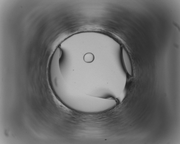 X0000099411471200806060920