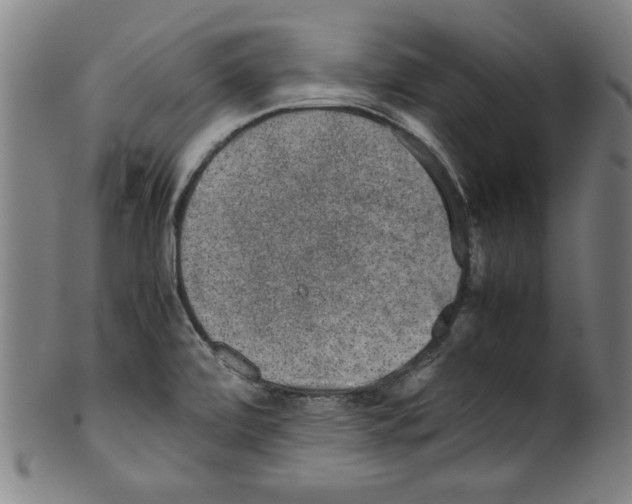 X0000099411472200806060920