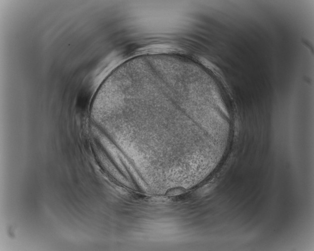 X0000099411473200806060920